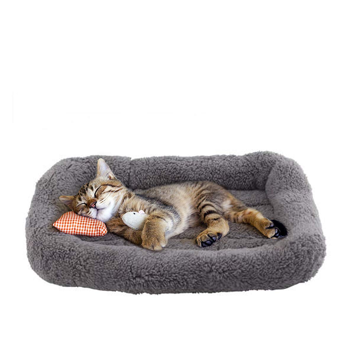 Cat Bed with Pillow, Anti Skid Bottom, Small T534599
