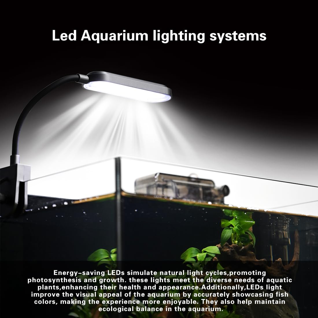 2.8 Gallon Glass Fish Tank with Light and Filter G394