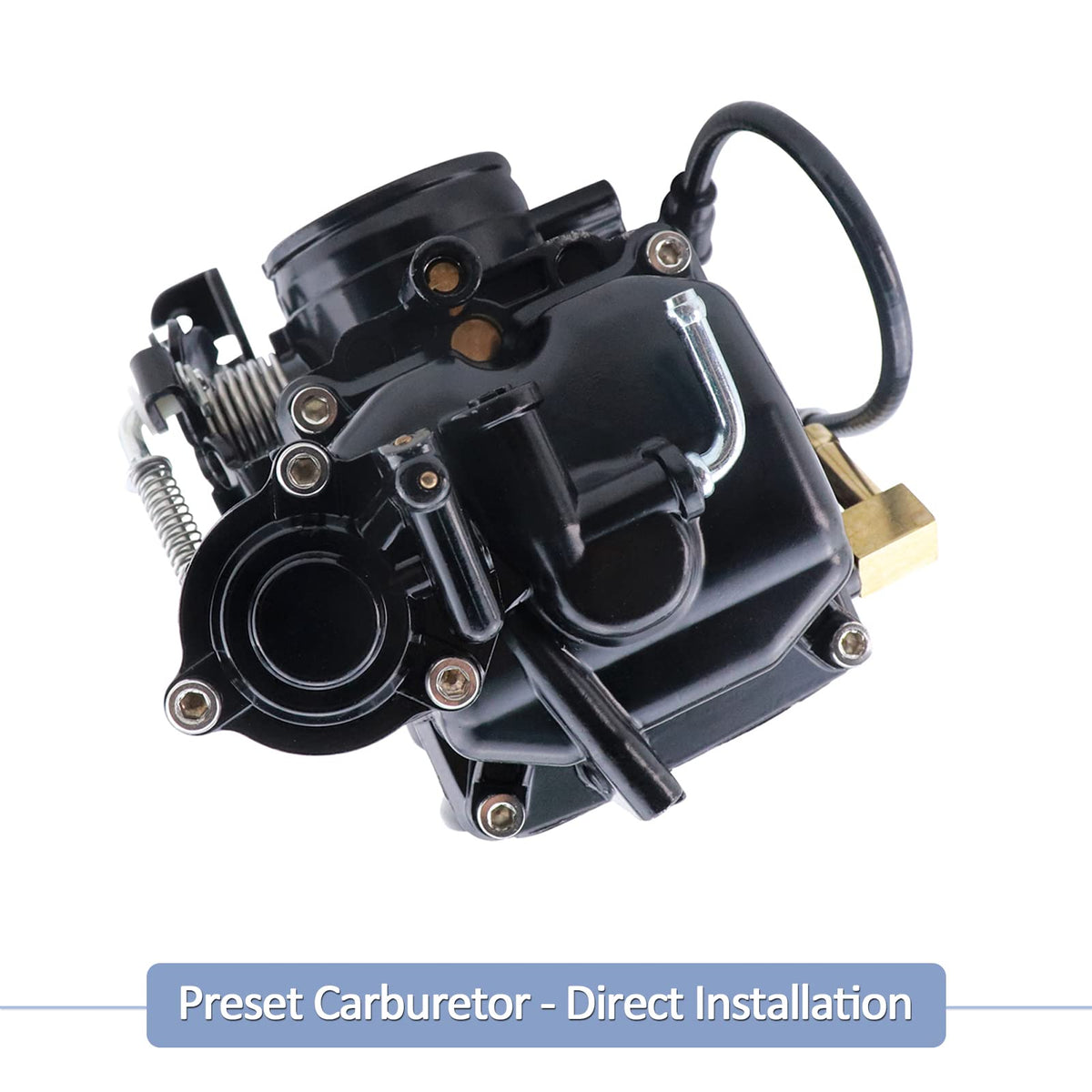 Carburetor with Choke Cable P713