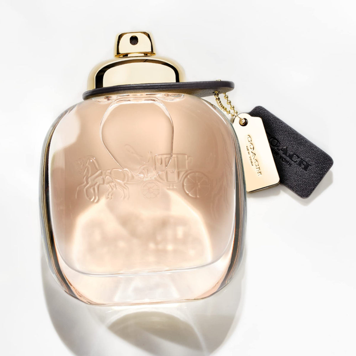 Eau de Parfum Floral Fruity J55312