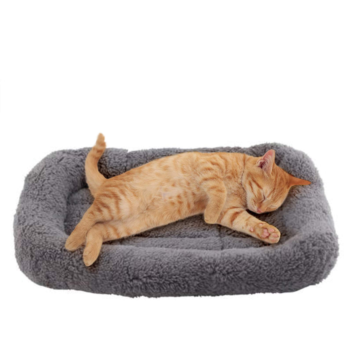 Cat Bed with Pillow, Anti Skid Bottom, Small T534599