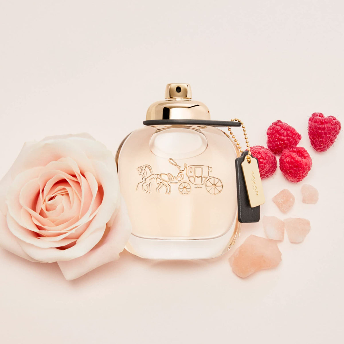 Eau de Parfum Floral Fruity J55312