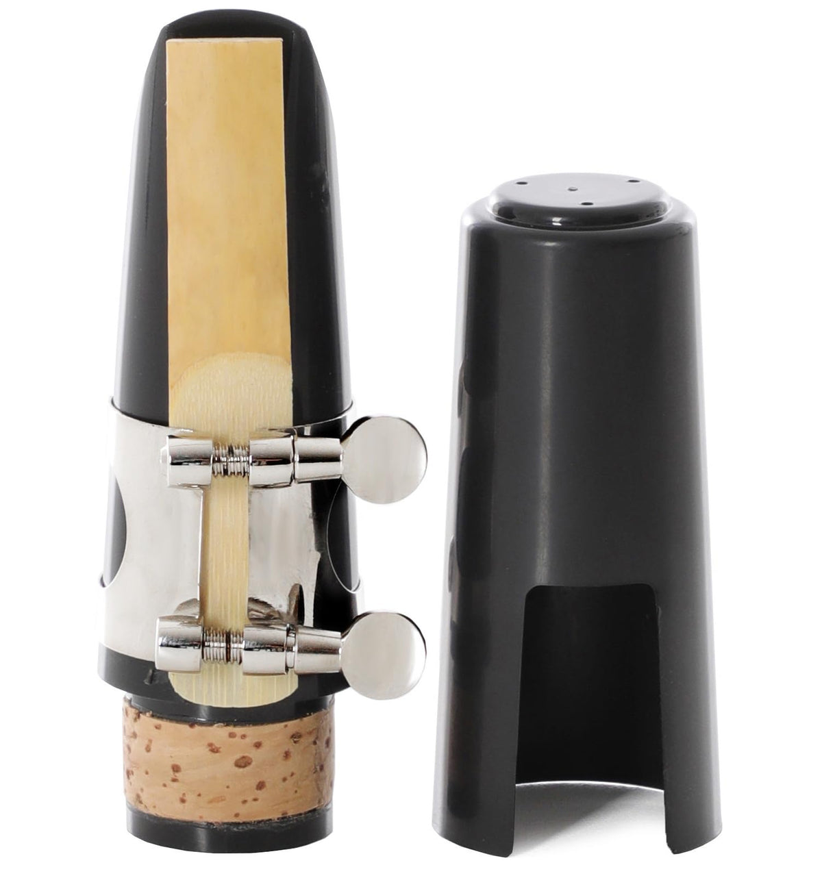 Alto Saxophone Reeds 2.0, 10 Pack Z1997