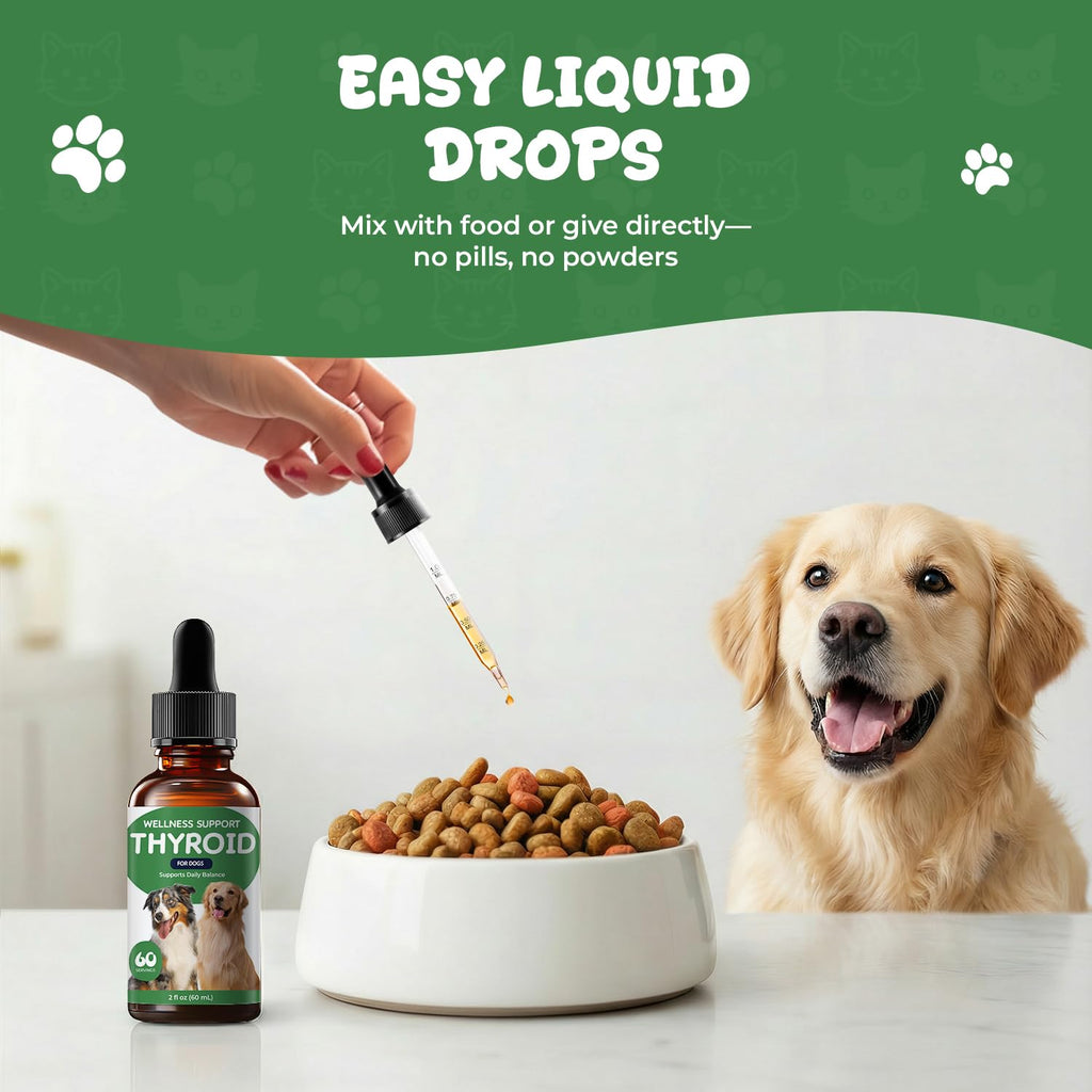 Thyroid Support Drops for Dogs V86068