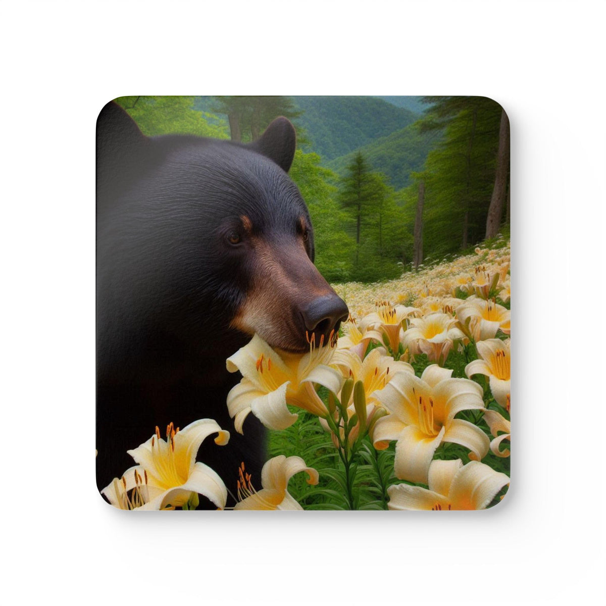 Set of 4 Coasters S253254