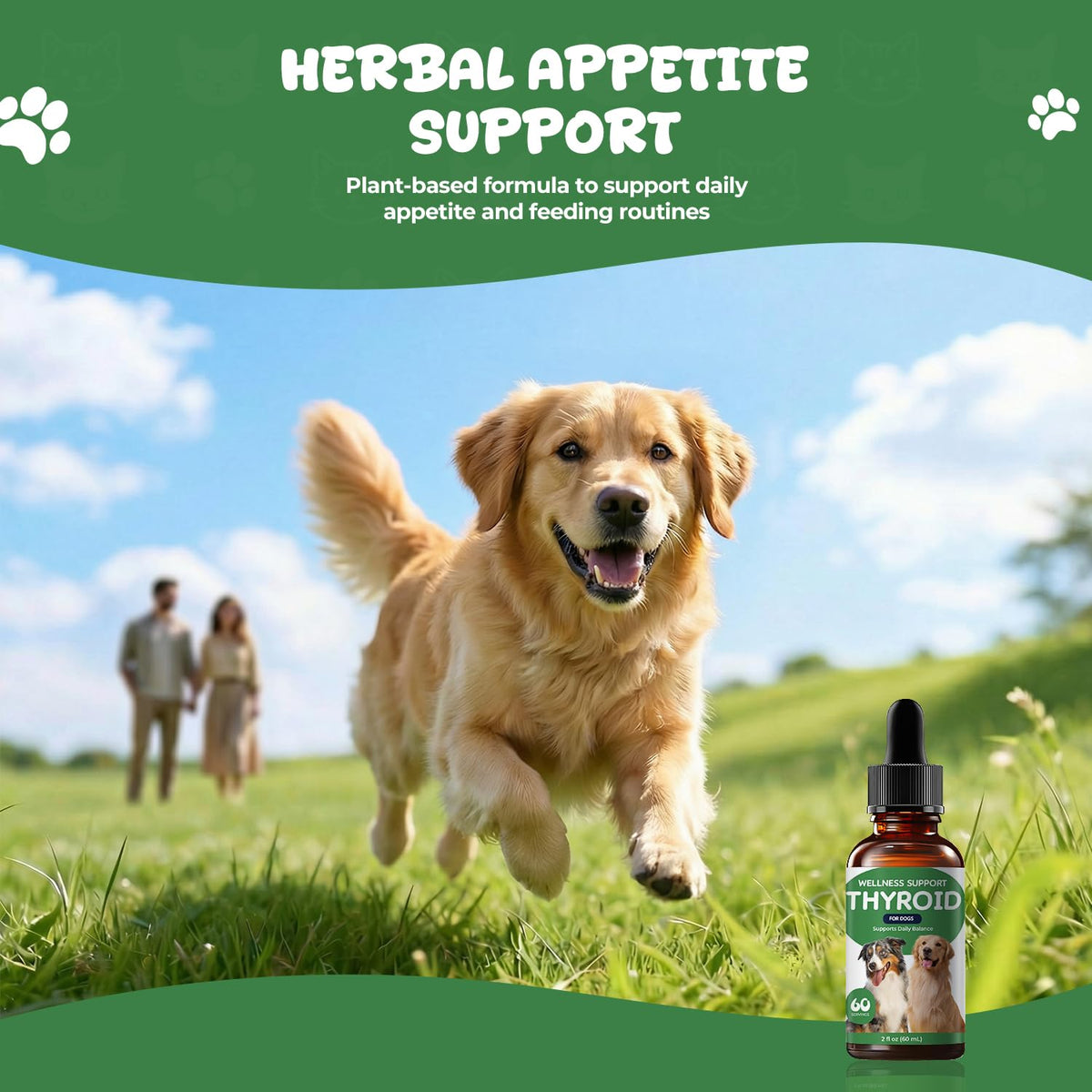 Thyroid Support Drops for Dogs V86068