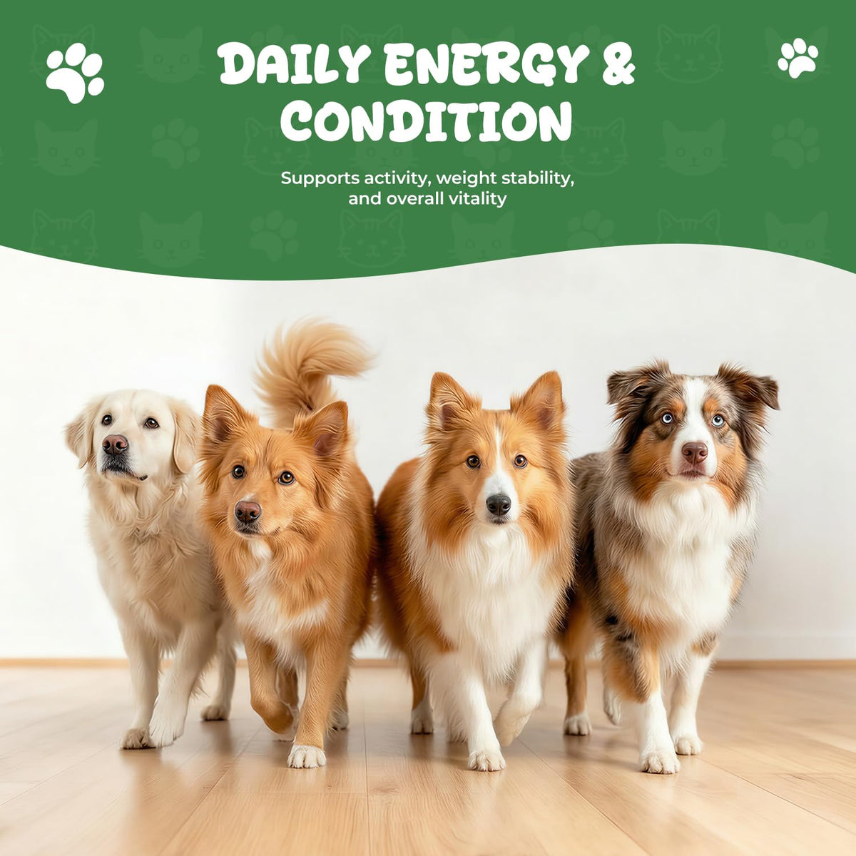 Thyroid Support Drops for Dogs V86068