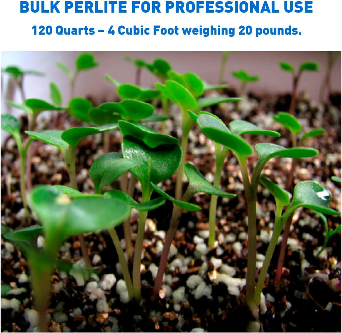 Perlite 4 Cubic Feet 1 Bag B386168