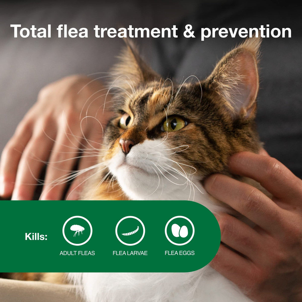 Large Cat Topical Flea Treatment & Prevention 2ct Z661