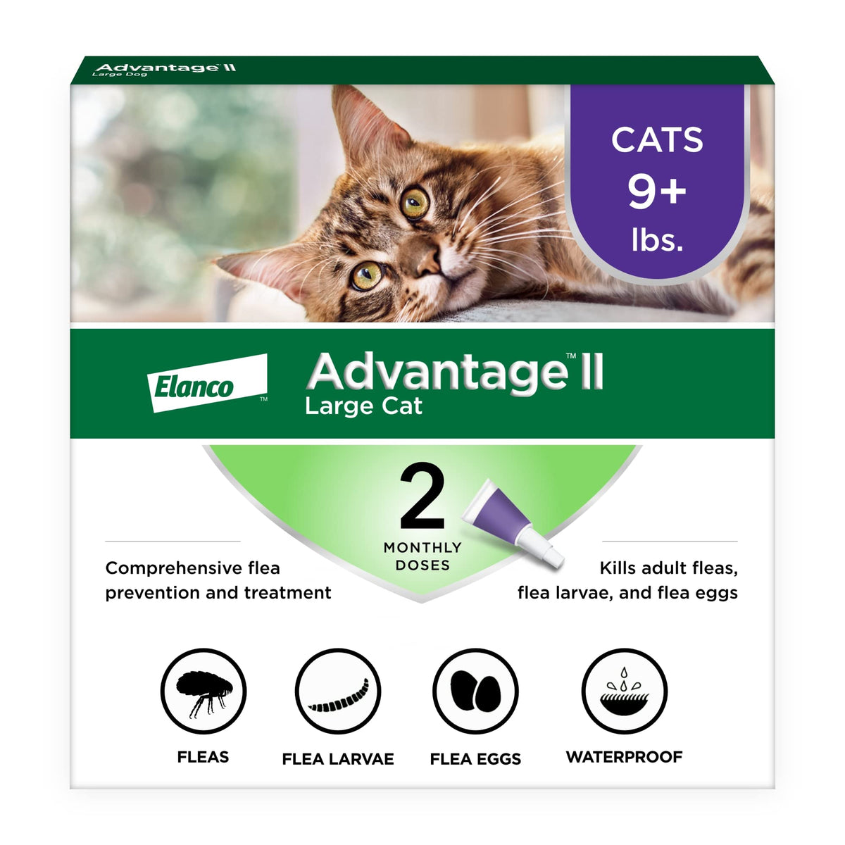 Large Cat Topical Flea Treatment & Prevention 2ct Z661