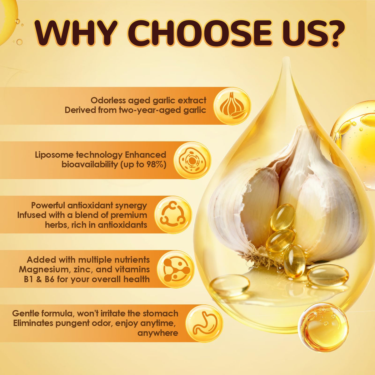 Odorless Aged Garlic Extract Capsules with Magnesium, Zinc, Vitamin B, 300 Softgels V135115
