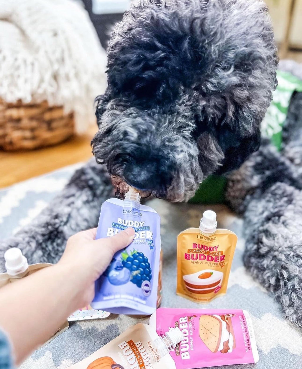 12pk Variety Pack 100% All Natural Peanut Butter for Dogs A534