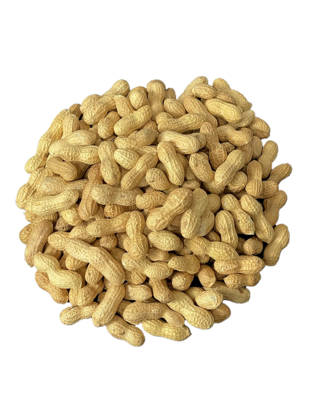 Raw Peanuts in Shell 10LB P85732