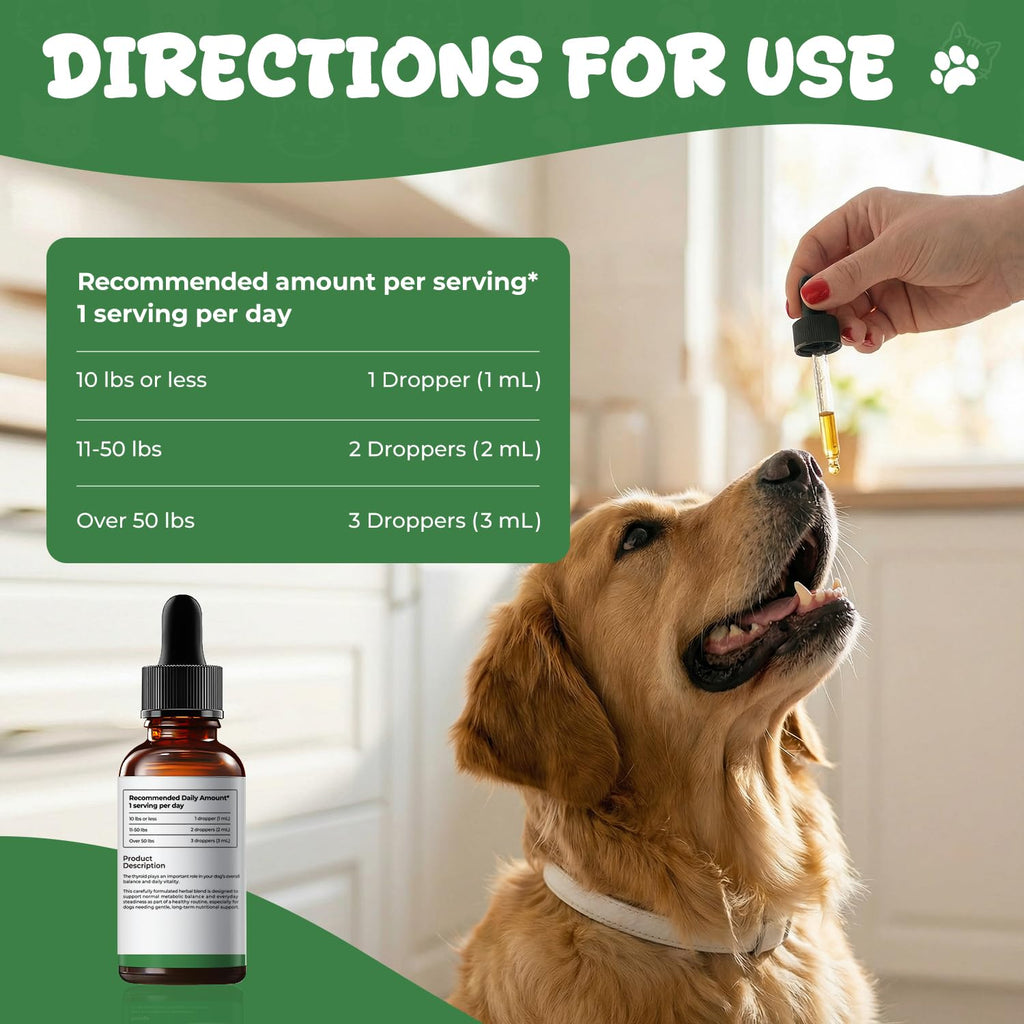 Thyroid Support Drops for Dogs V86068