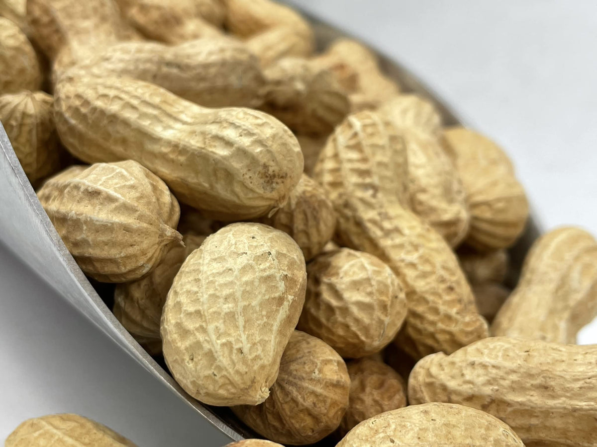 Raw Peanuts in Shell 10LB P85732