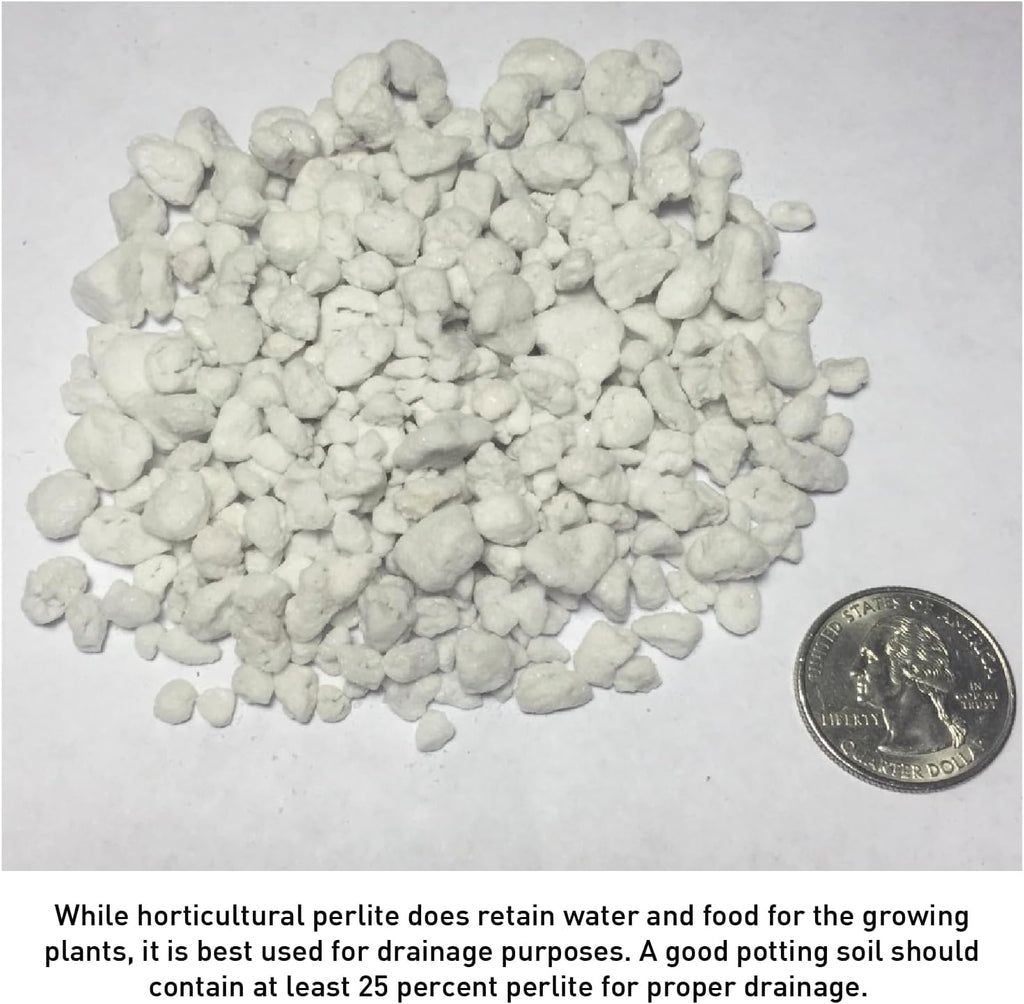 Perlite 4 Cubic Feet 1 Bag B386168