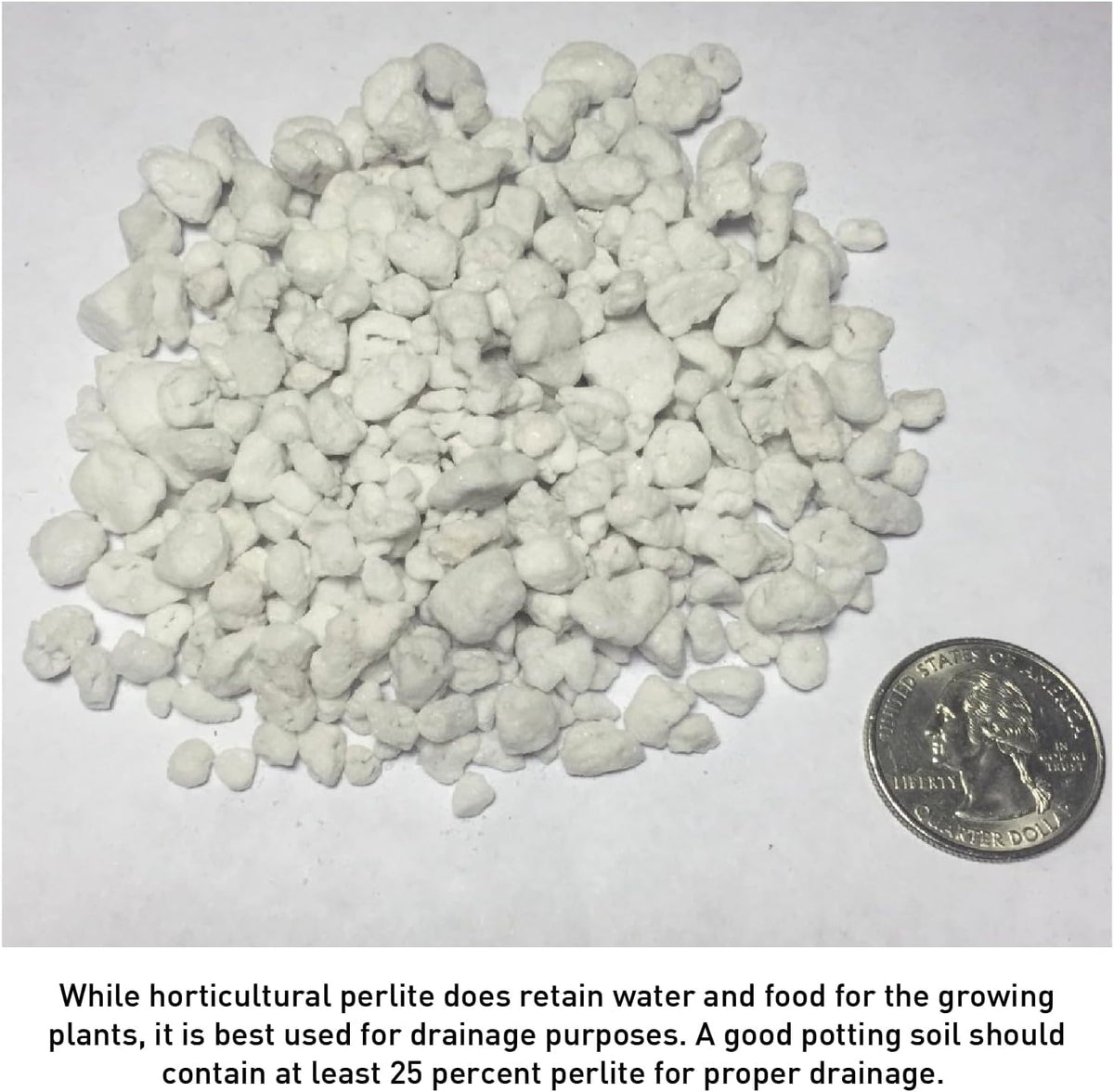 Perlite 4 Cubic Feet 1 Bag B386168