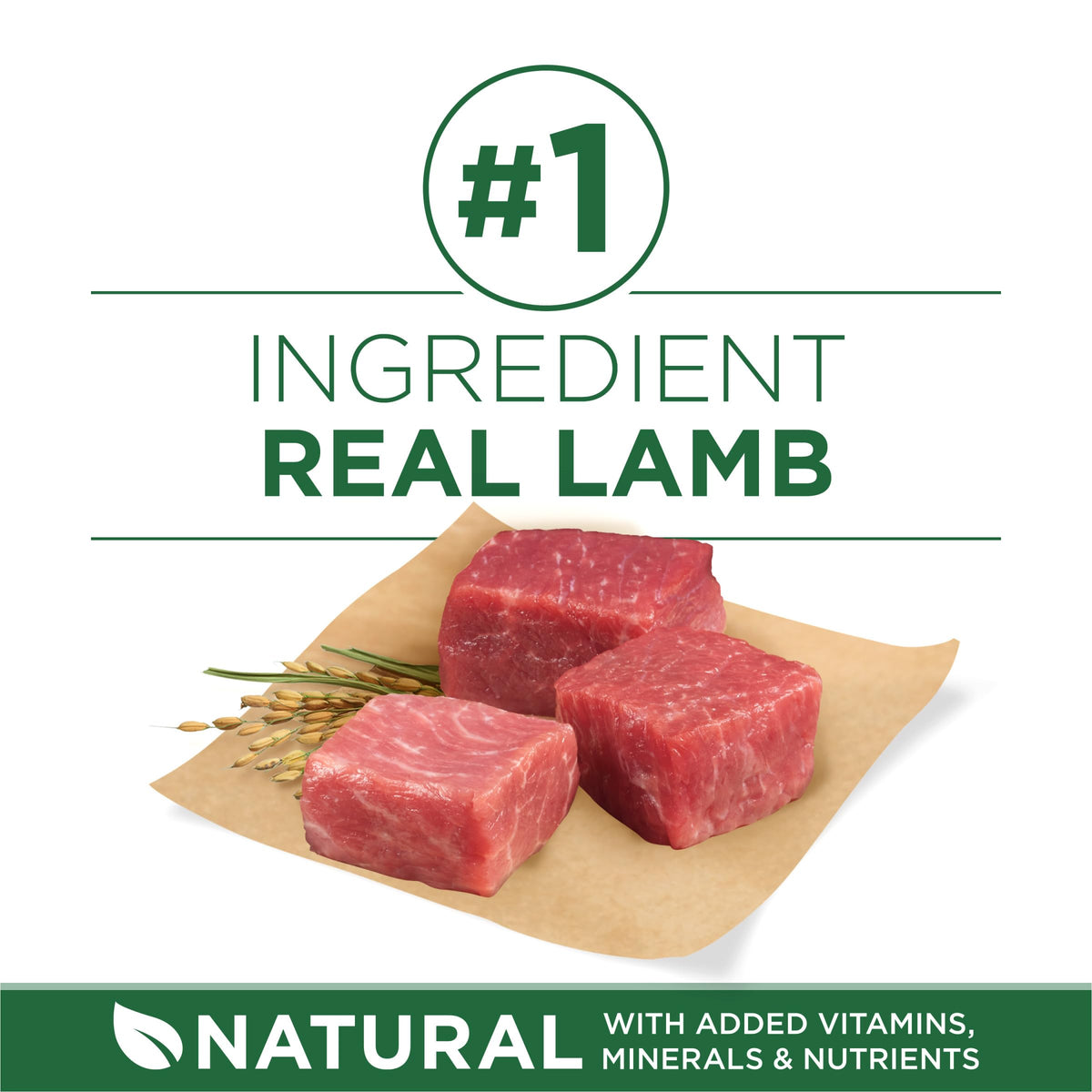 High Protein Dry Dog Food, Lamb, 7.4 lb Bag P37038