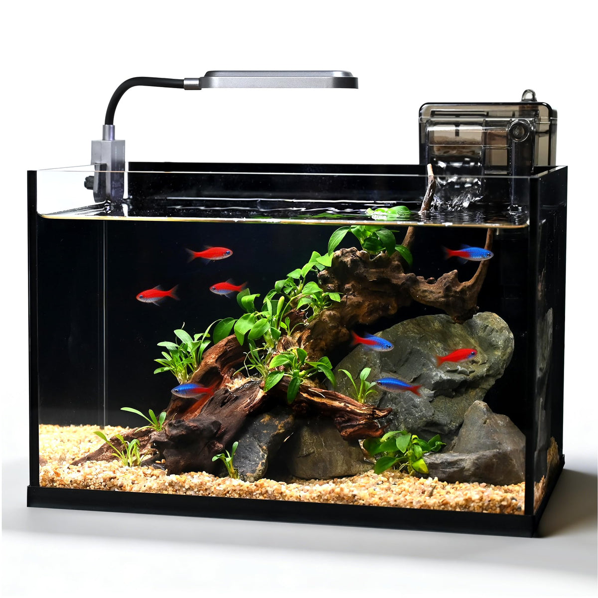 2.8 Gallon Glass Fish Tank with Light and Filter G394