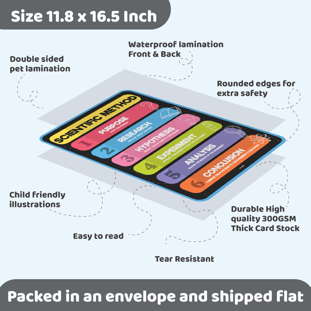 Science Posters for Kids Classroom Decor T3402