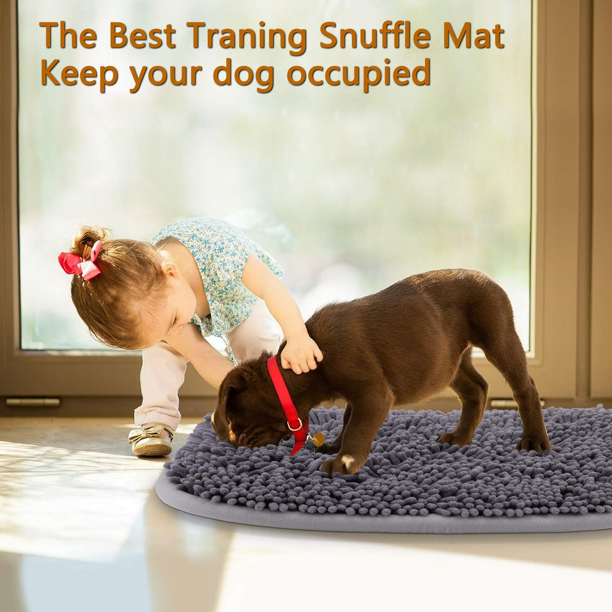 Interactive Snuffle Mat for Dogs H9167