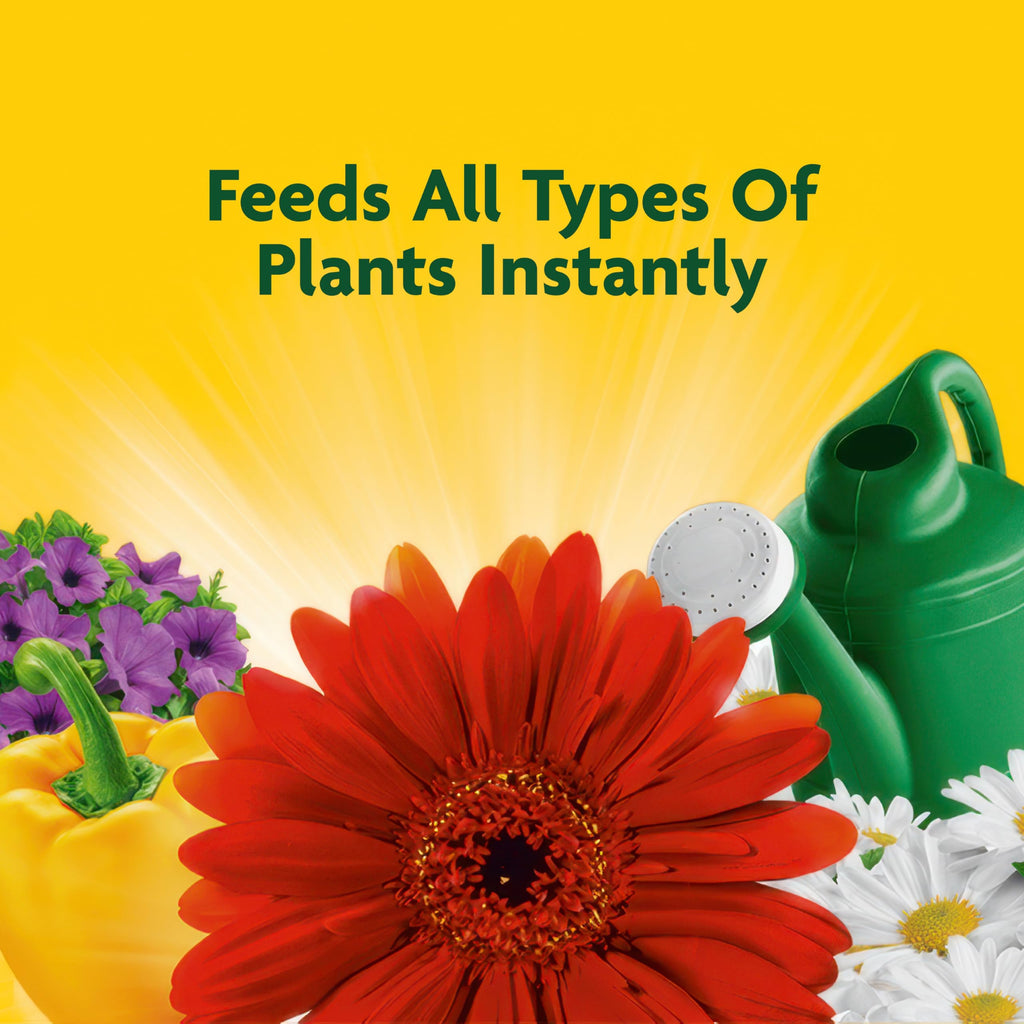 Liquid All Purpose Plant Food Concentrate 32 oz P848935