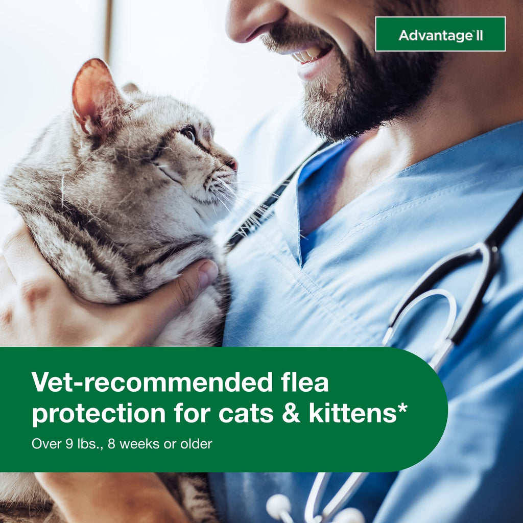 Large Cat Topical Flea Treatment & Prevention 2ct Z661