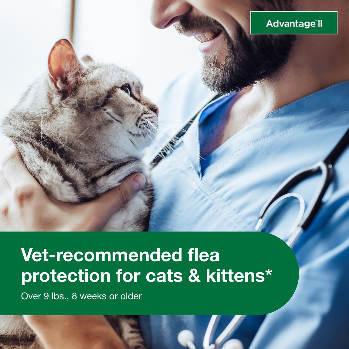 Large Cat Topical Flea Treatment & Prevention 2ct Z661