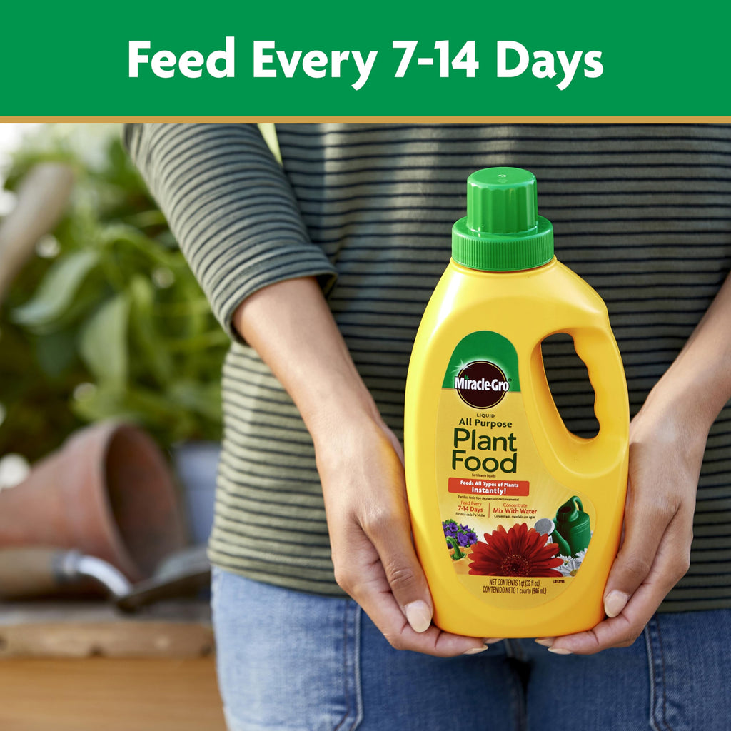 Liquid All Purpose Plant Food Concentrate 32 oz P848935