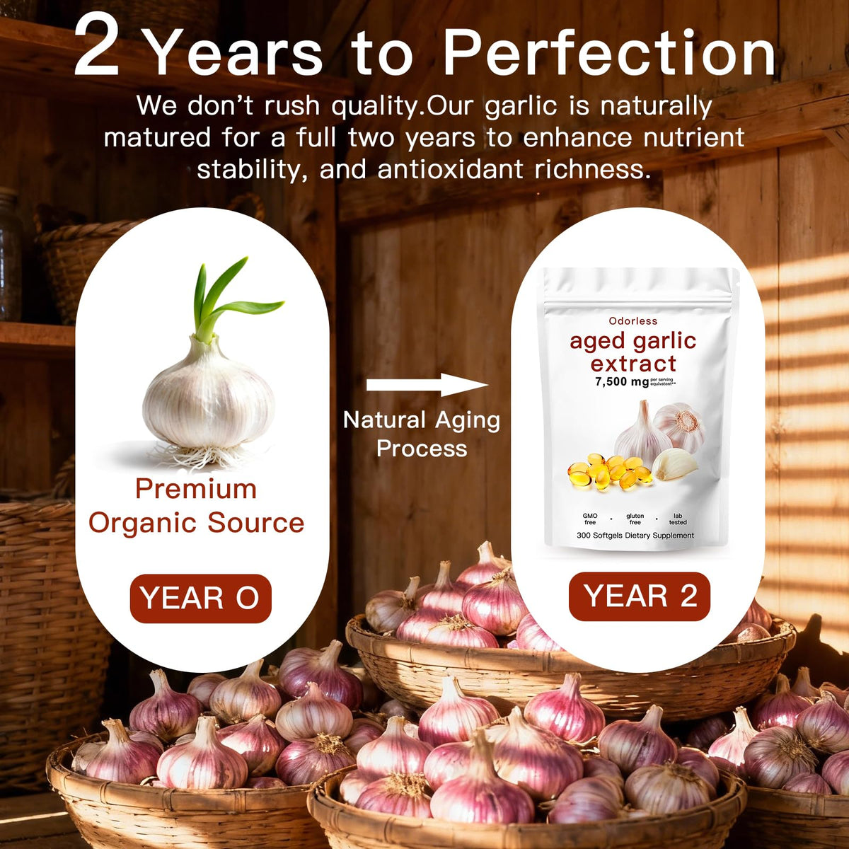 Odorless Organic Aged Garlic Extract Capsules F976769