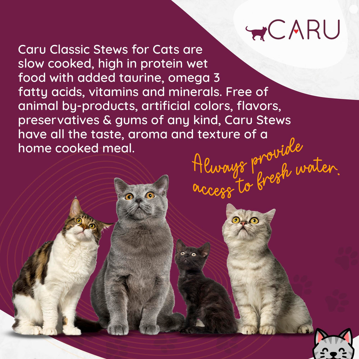 Turkey Recipe Cat Stew 5.5 oz Case of 12 U16773