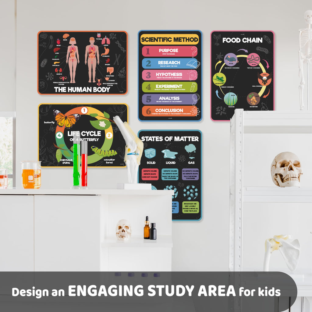 Science Posters for Kids Classroom Decor T3402