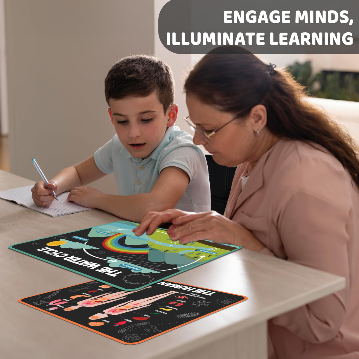 Science Posters for Kids Classroom Decor T3402
