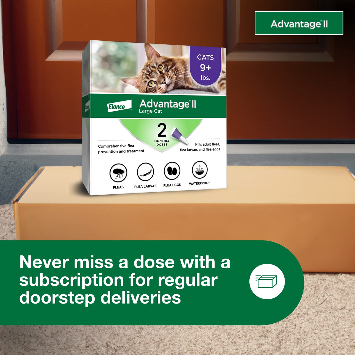 Large Cat Topical Flea Treatment & Prevention 2ct Z661